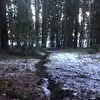 svensk användare